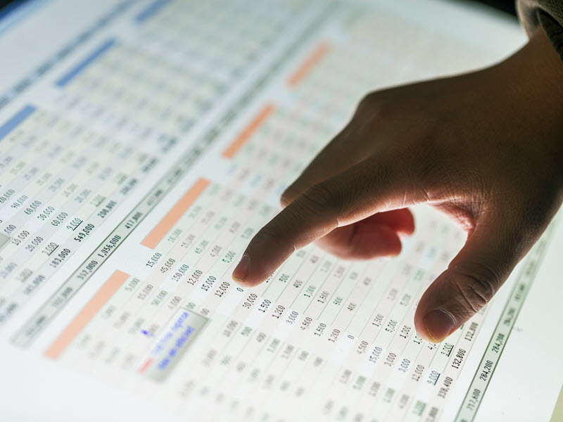 Person using Excel
