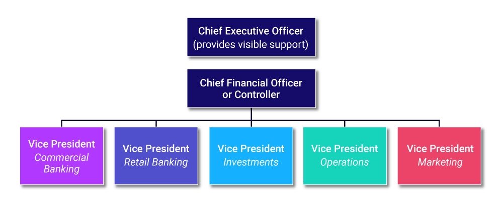 Who should participate in the steering committee?