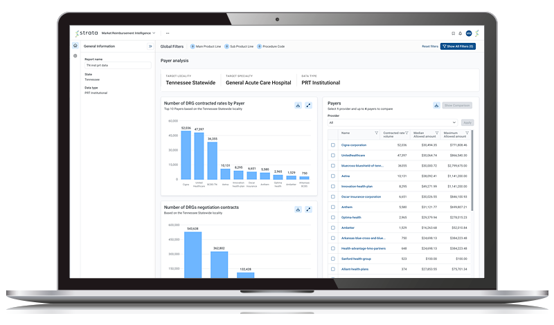 payer report  mockup on a laptop